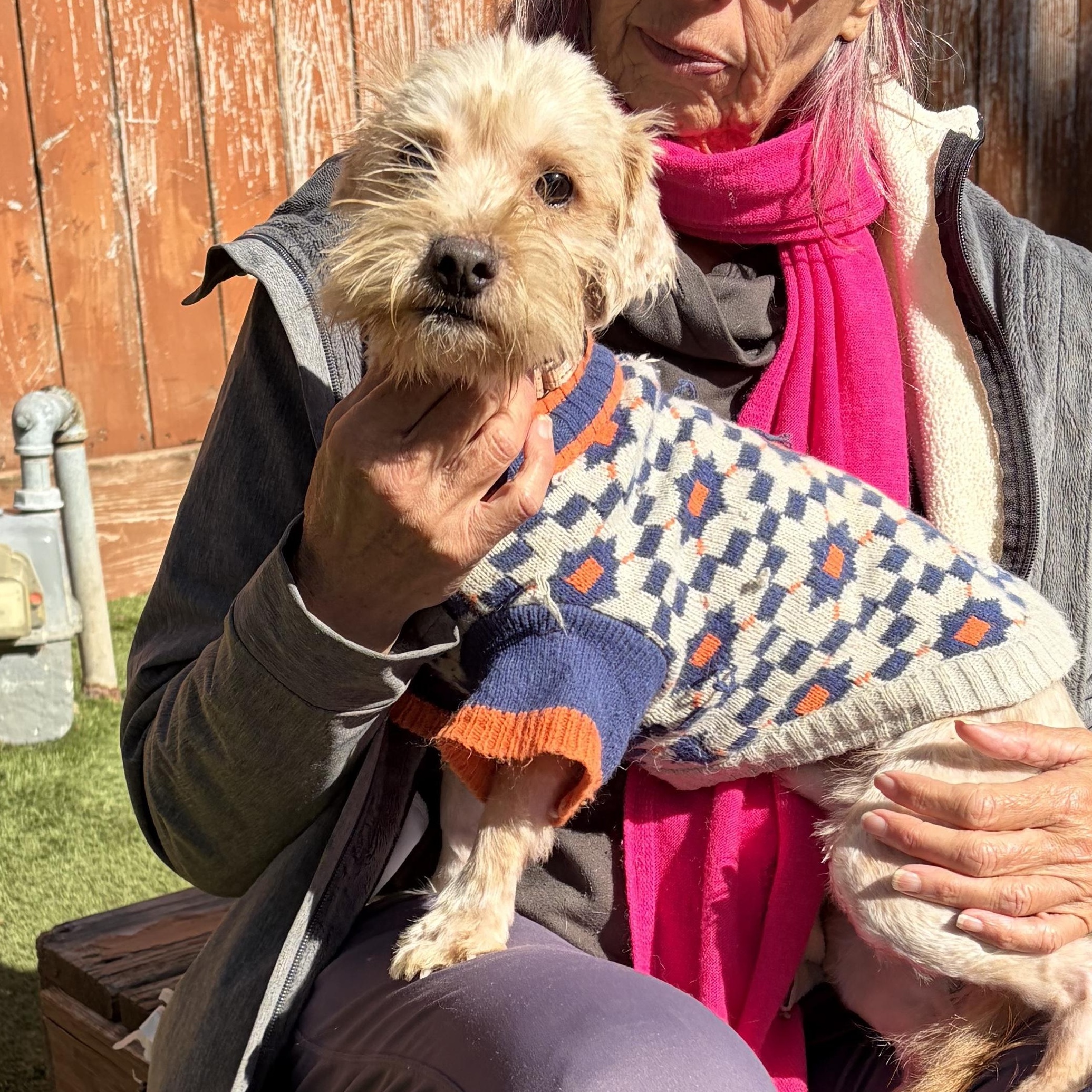 Boonebig Time Love In thumbnail 4