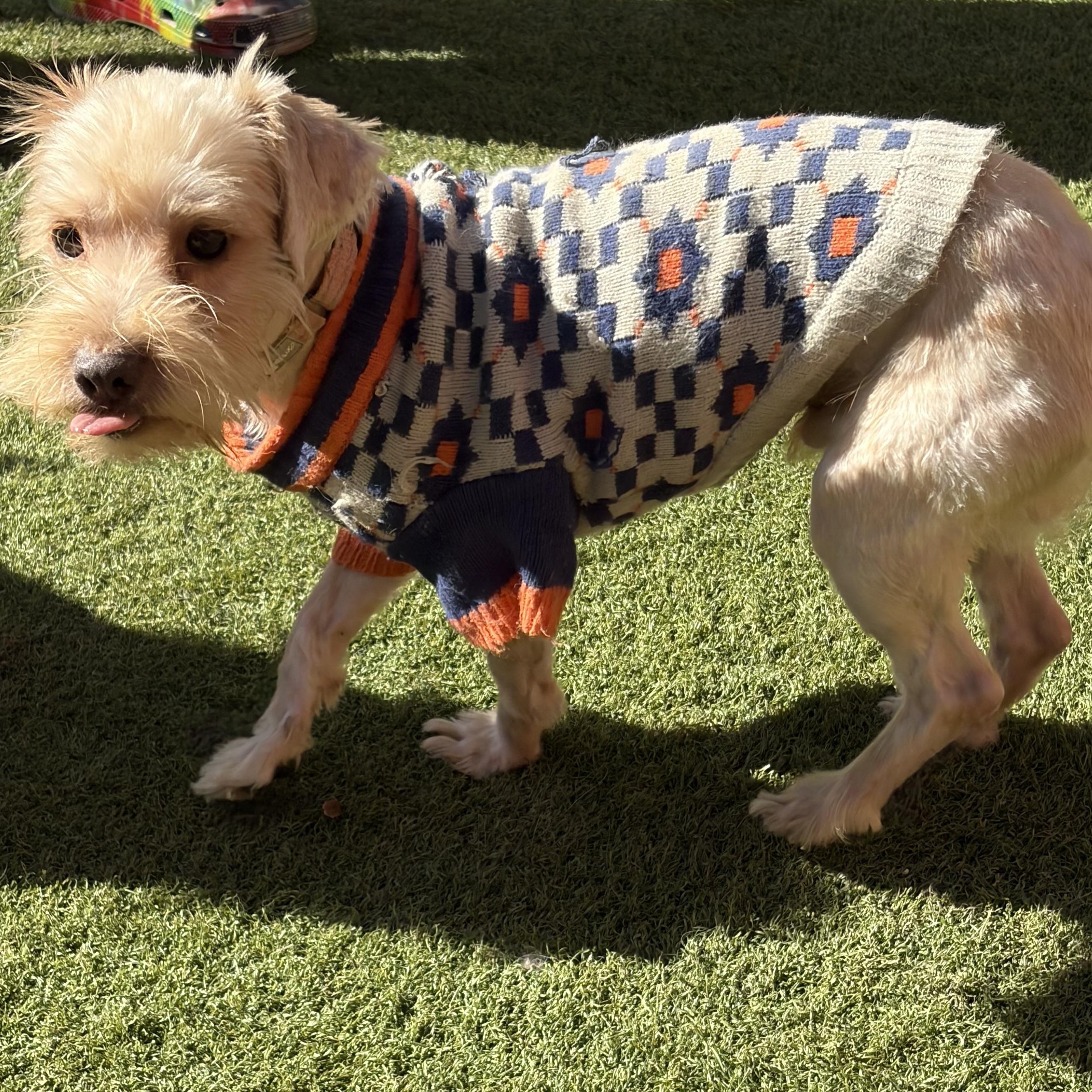 Boonebig Time Love In thumbnail 6