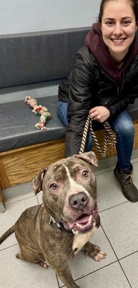 Blarney — thumbnail 2