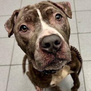 Blarney — thumbnail 5