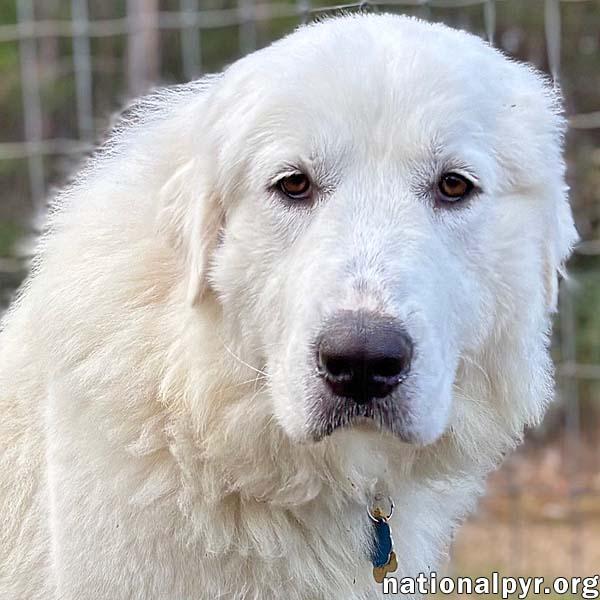 Mary Jane in GA - Gives Gentle Hugs!