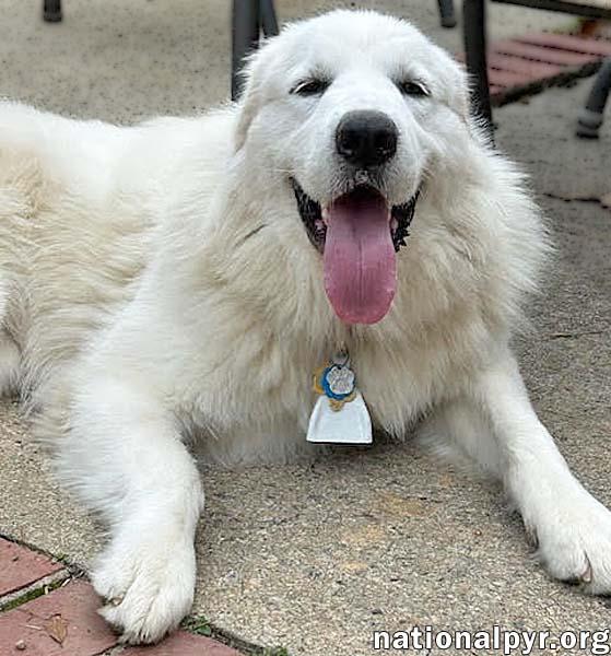 Mary Jane In Sc thumbnail 2