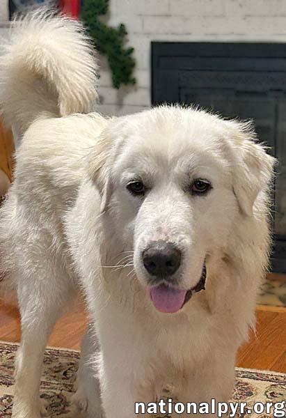 Mary Jane In Sc thumbnail 3