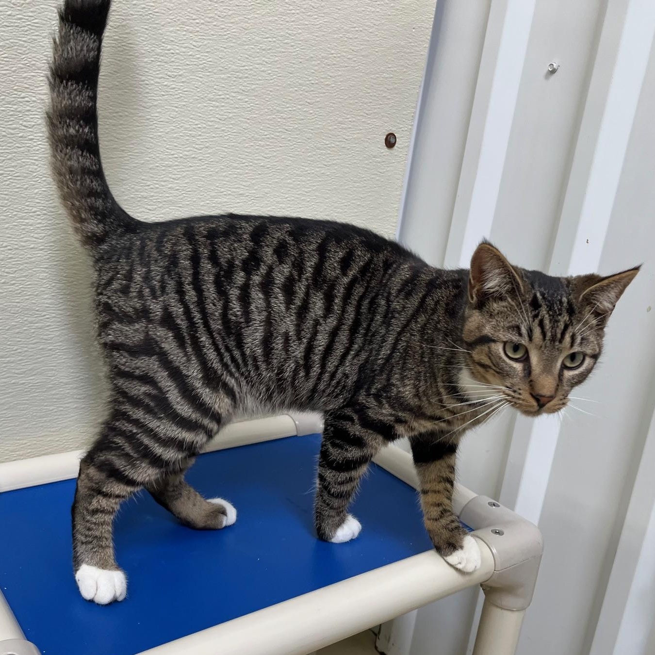 Kristopher thumbnail 2