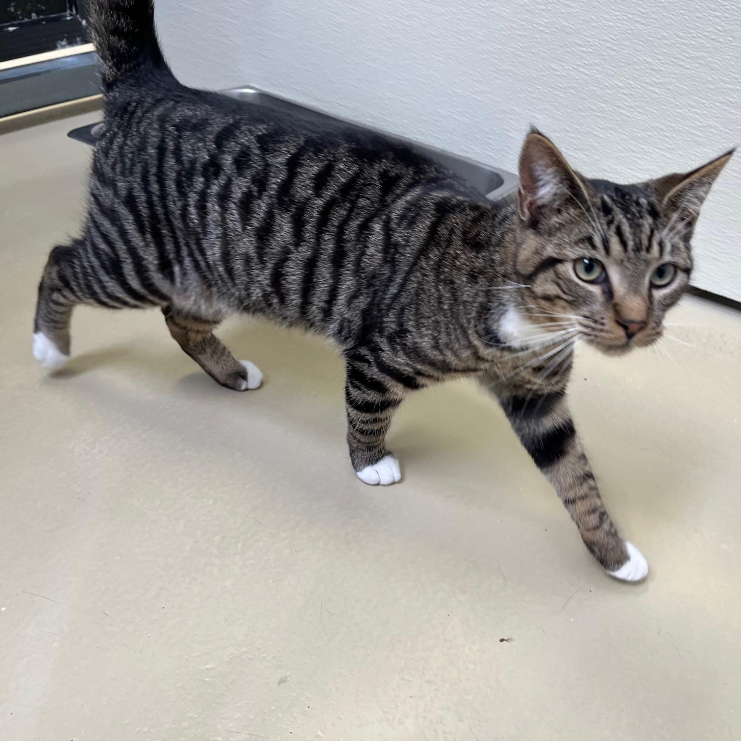 Kristopher thumbnail 3