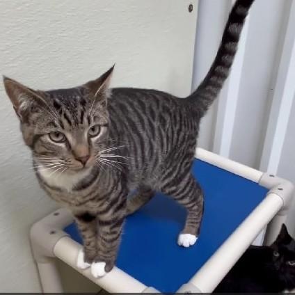 Kristopher thumbnail 4