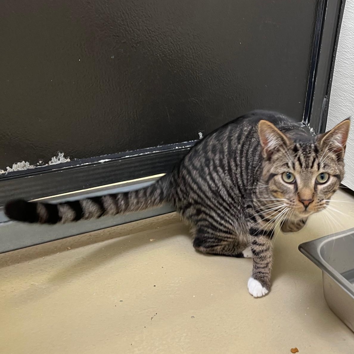 Kristopher thumbnail 5