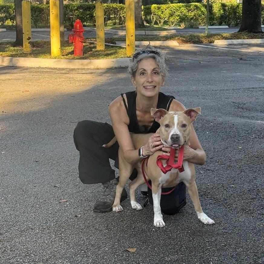 Enlarge Zoey, a Adoptable Mixed Breed in Bangall, NY image 6/6