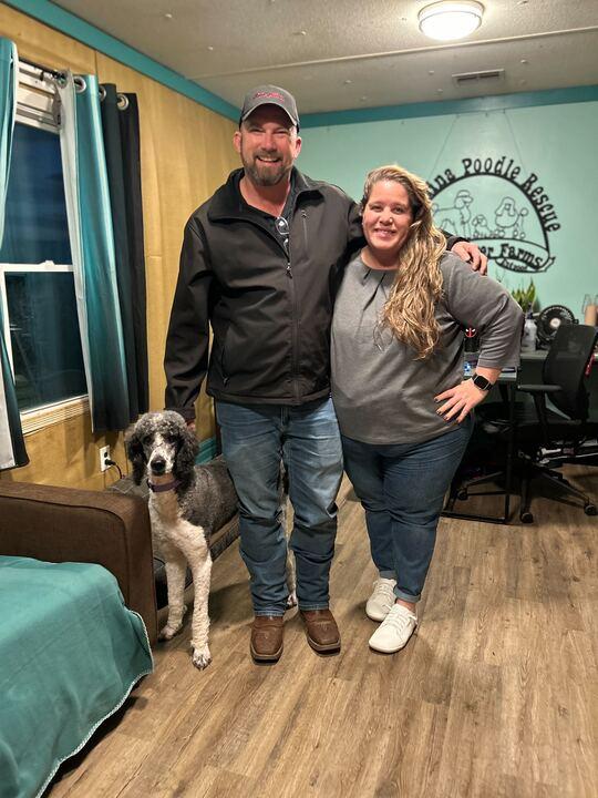 Enlarge Arnie Oct 25, a Adopted Standard Poodle in Pacolet, SC image 2/3