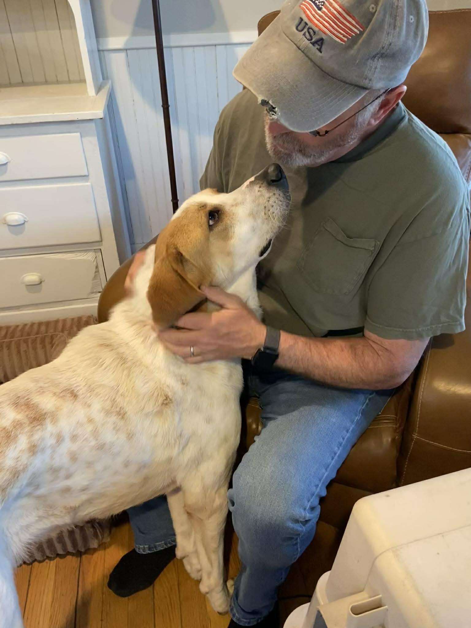 Enlarge Earl, a ADOPTABLE mixed breed in Brunswick, ME image 3/6