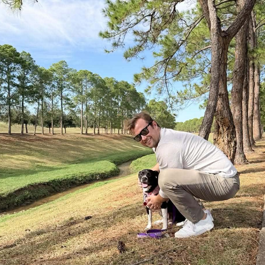 LuLu, a Adoptable mixed breed in Houston, TX image 5/6