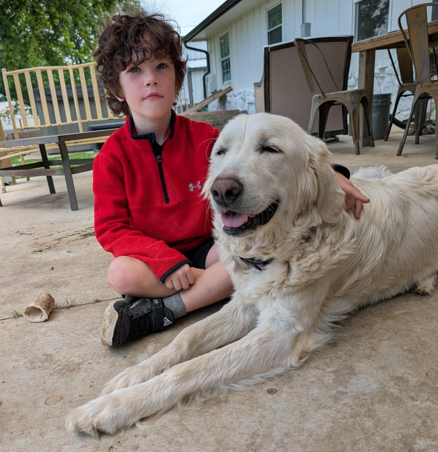 Supernova, a ADOPTABLE Great Pyrenees in Kiowa, OK image 3/6