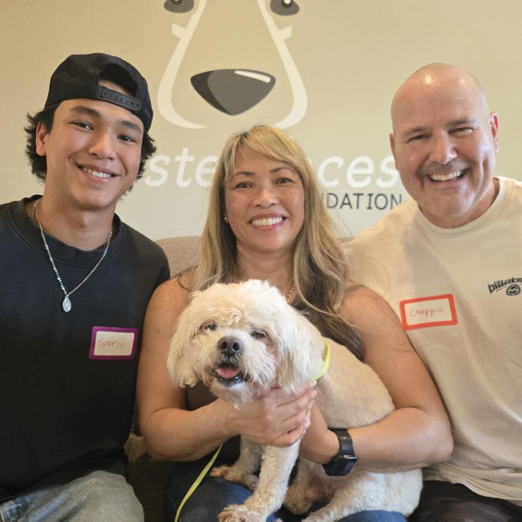 Falco — thumbnail 3