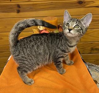 Flicker - incredibly sweet baby girl