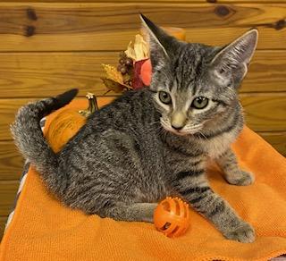 Flicker - incredibly sweet baby girl