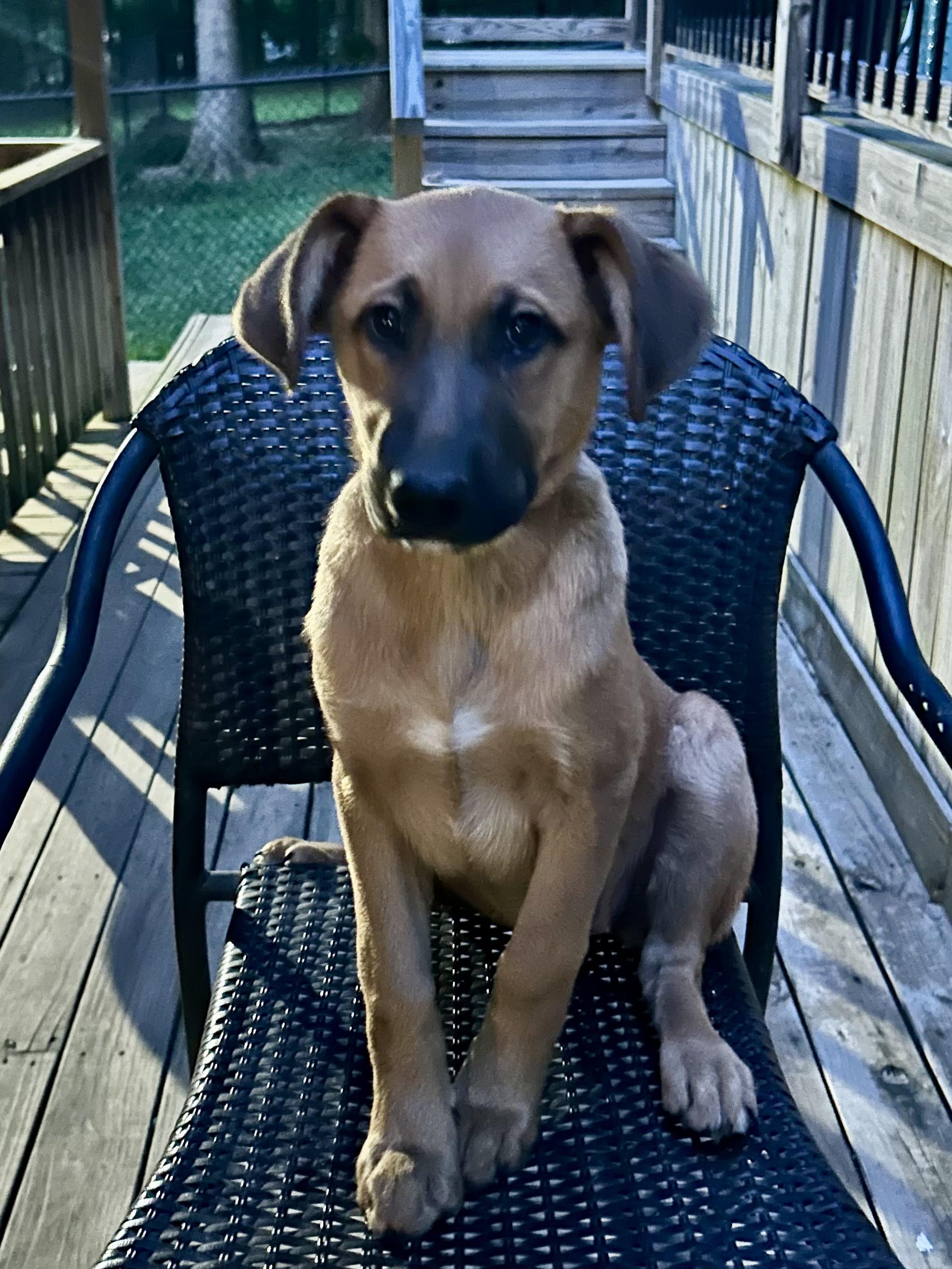 FRAN — thumbnail 2