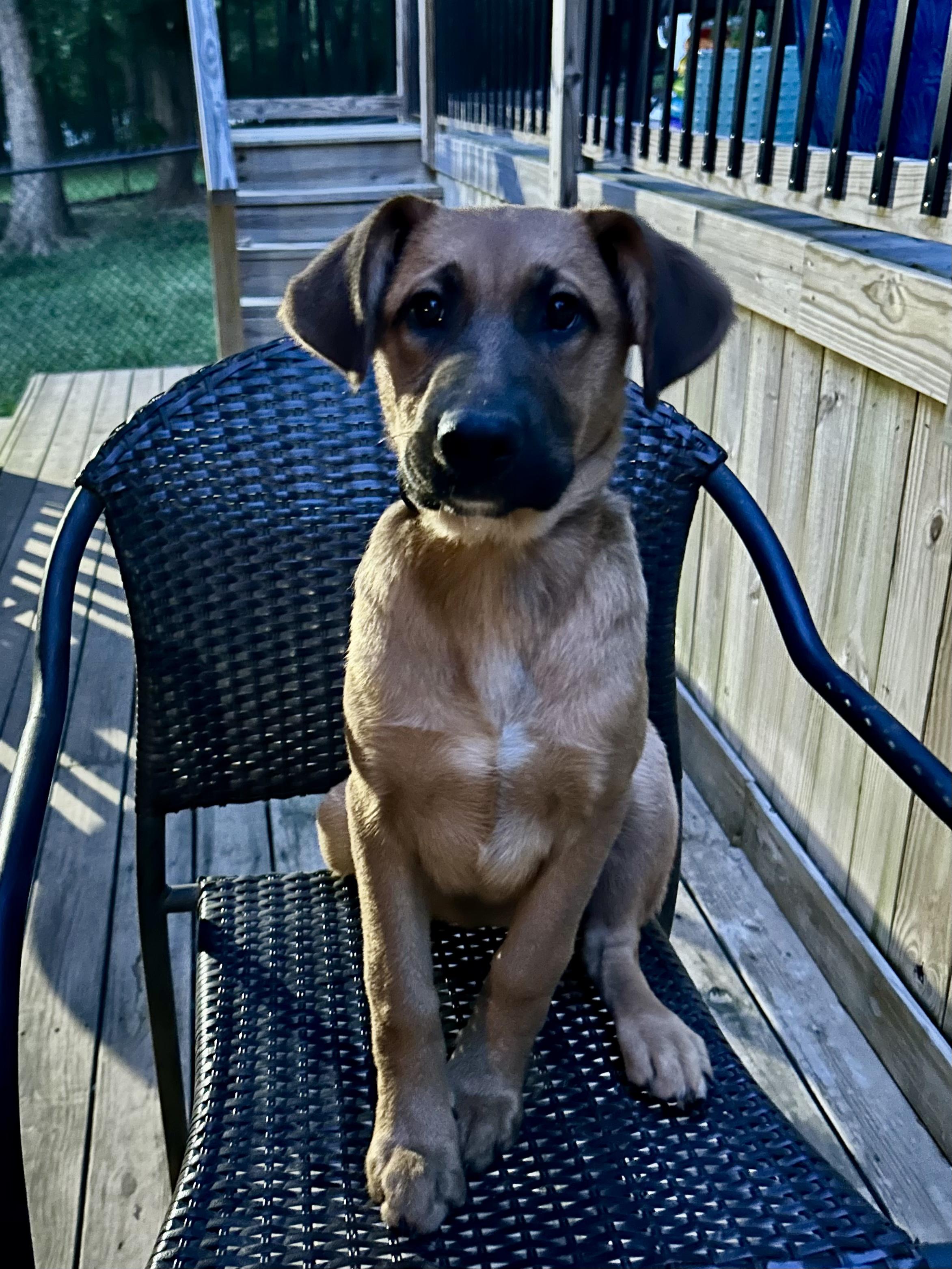 FRAN — thumbnail 4