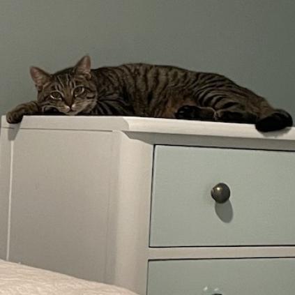 Smitty — thumbnail 3