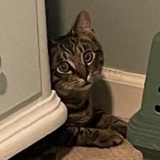 Smitty — thumbnail 5