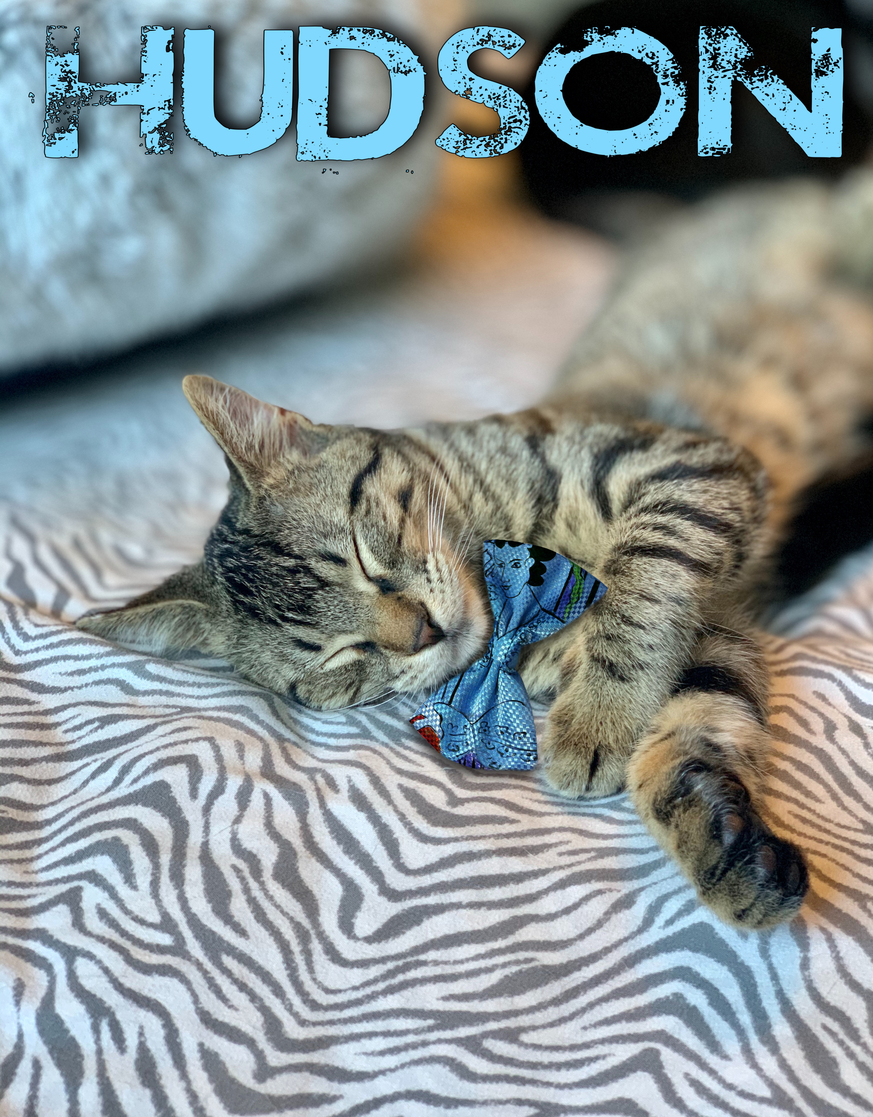 Hudson — thumbnail 2