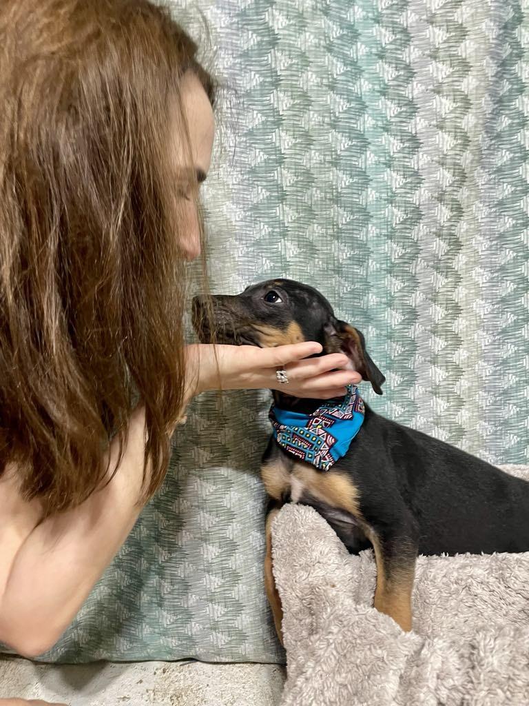 Wolverine thumbnail 3