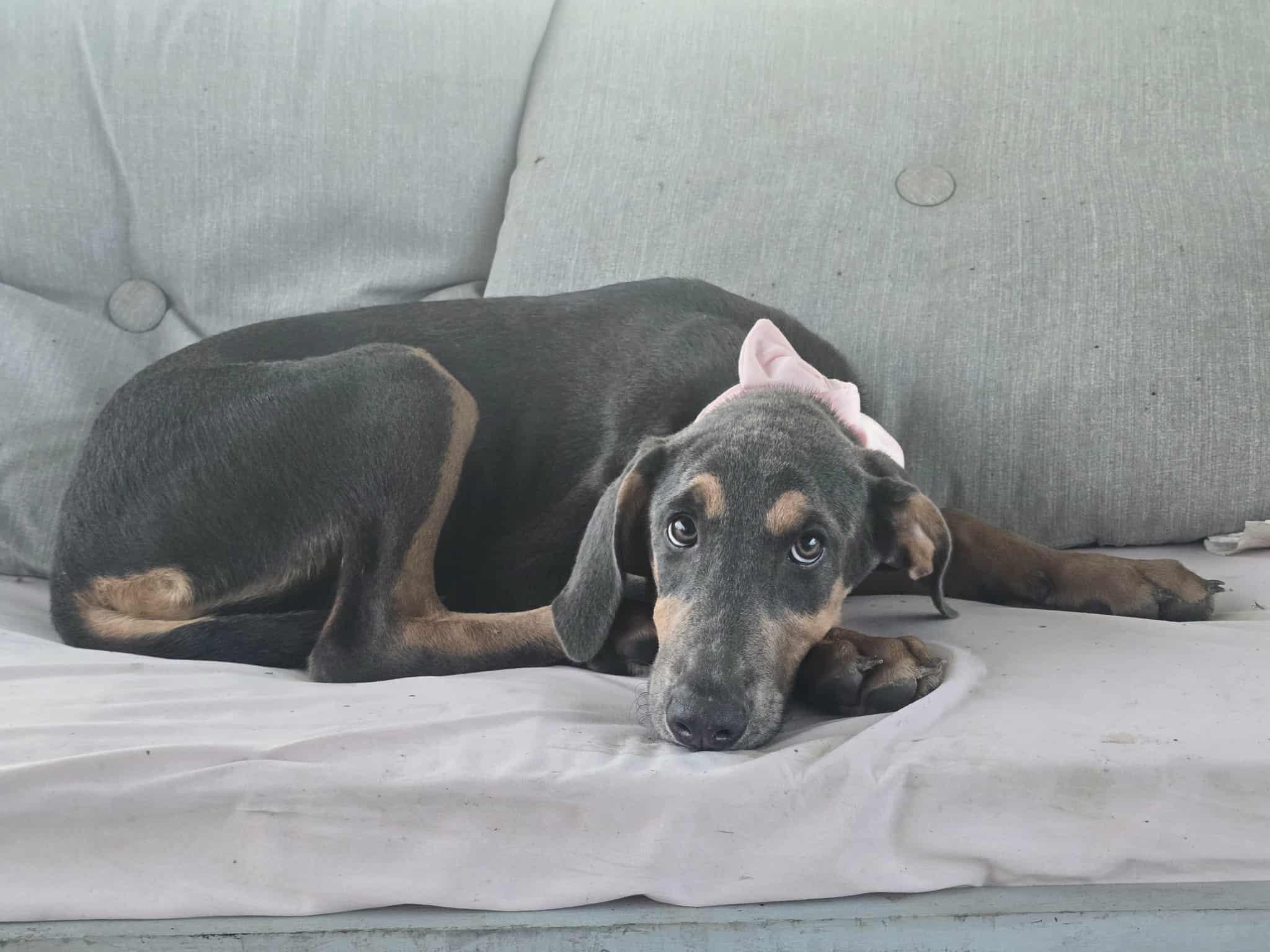 Winnie