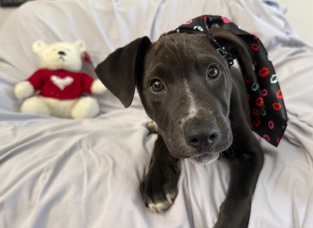 Kip Maine thumbnail 2