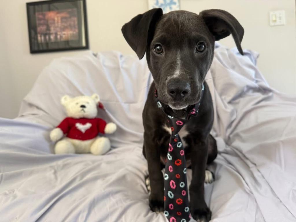 Kip Maine thumbnail 3