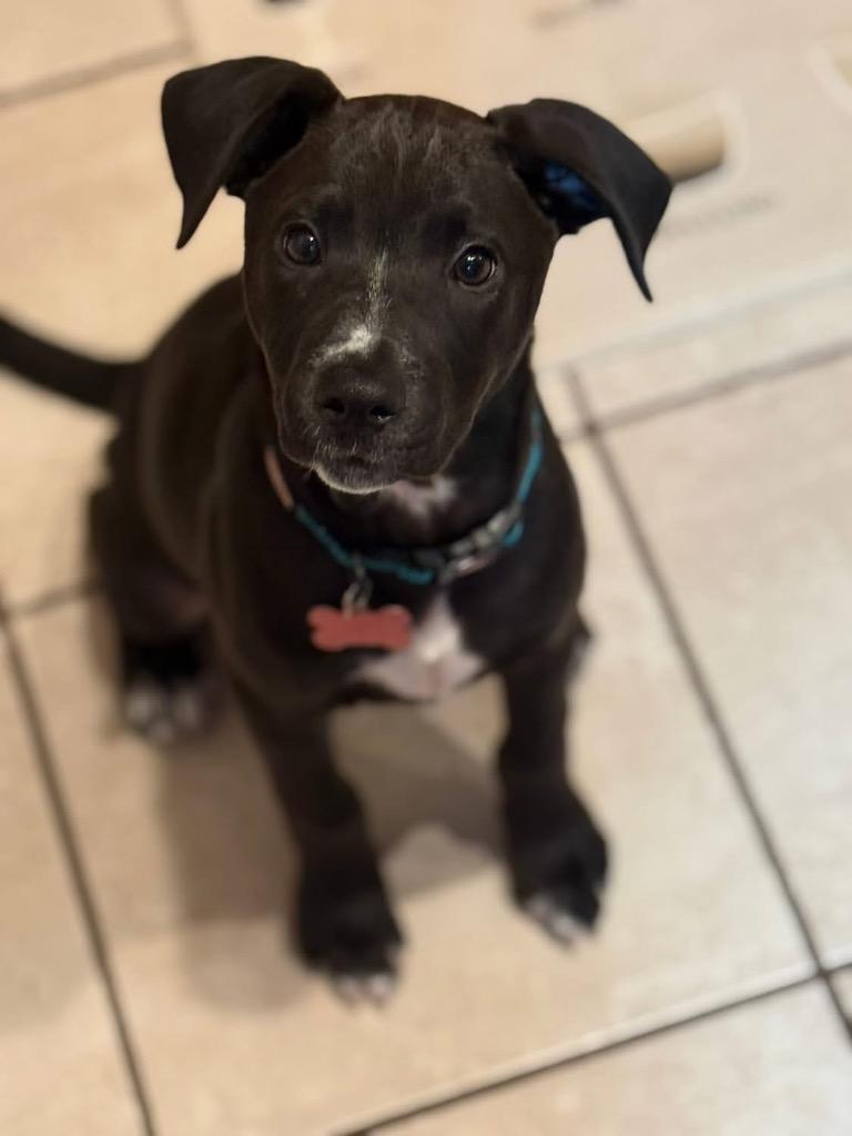 Kip Maine thumbnail 4