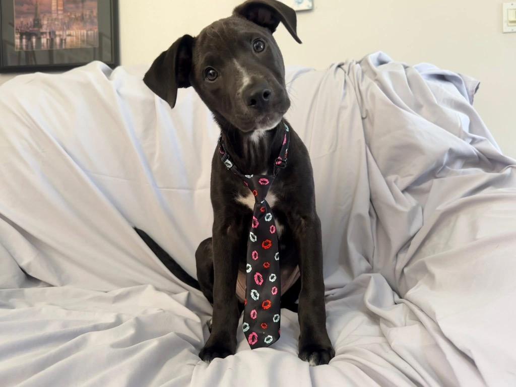 Kip Maine thumbnail 5