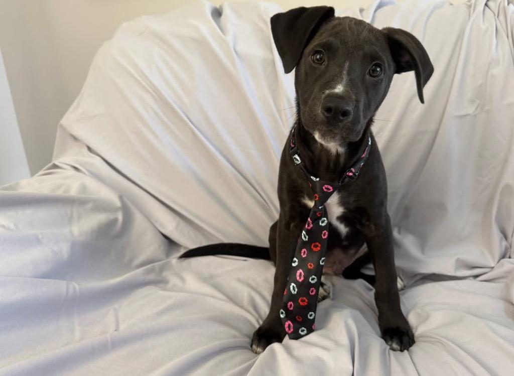 Kip Maine thumbnail 6