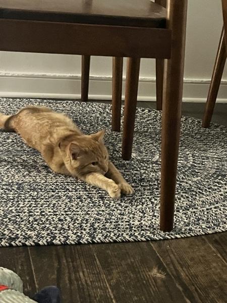 Gemini — thumbnail 2