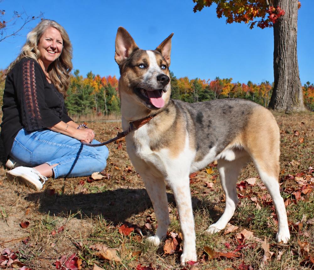 Enlarge Atlas, a Adoptable mixed breed in Cheboygan, MI image 5/6