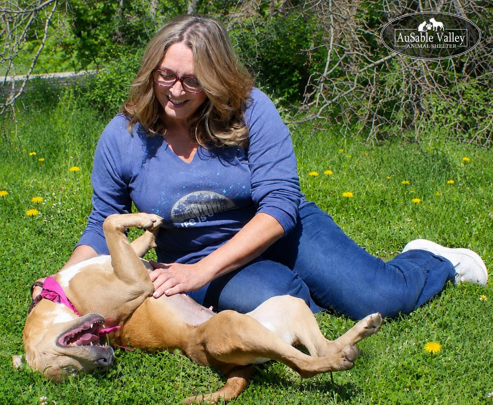 Enlarge Selena, a ADOPTABLE mixed breed in Grayling, MI image 4/6