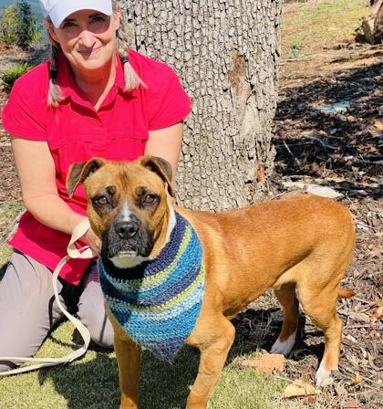 Enlarge Keowee $85 Fostered, a Adoptable mixed breed in Seneca, SC image 2/3