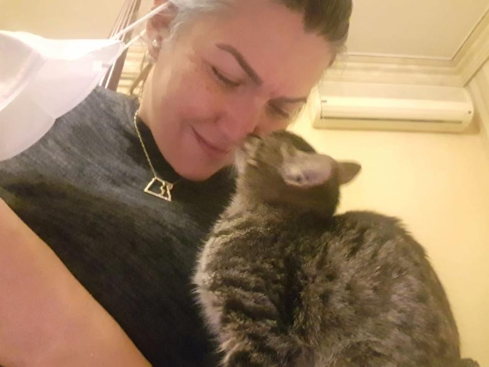 Enlarge Mokka, a Adopted Egyptian Mau in WOLCOTT, CT image 4/6