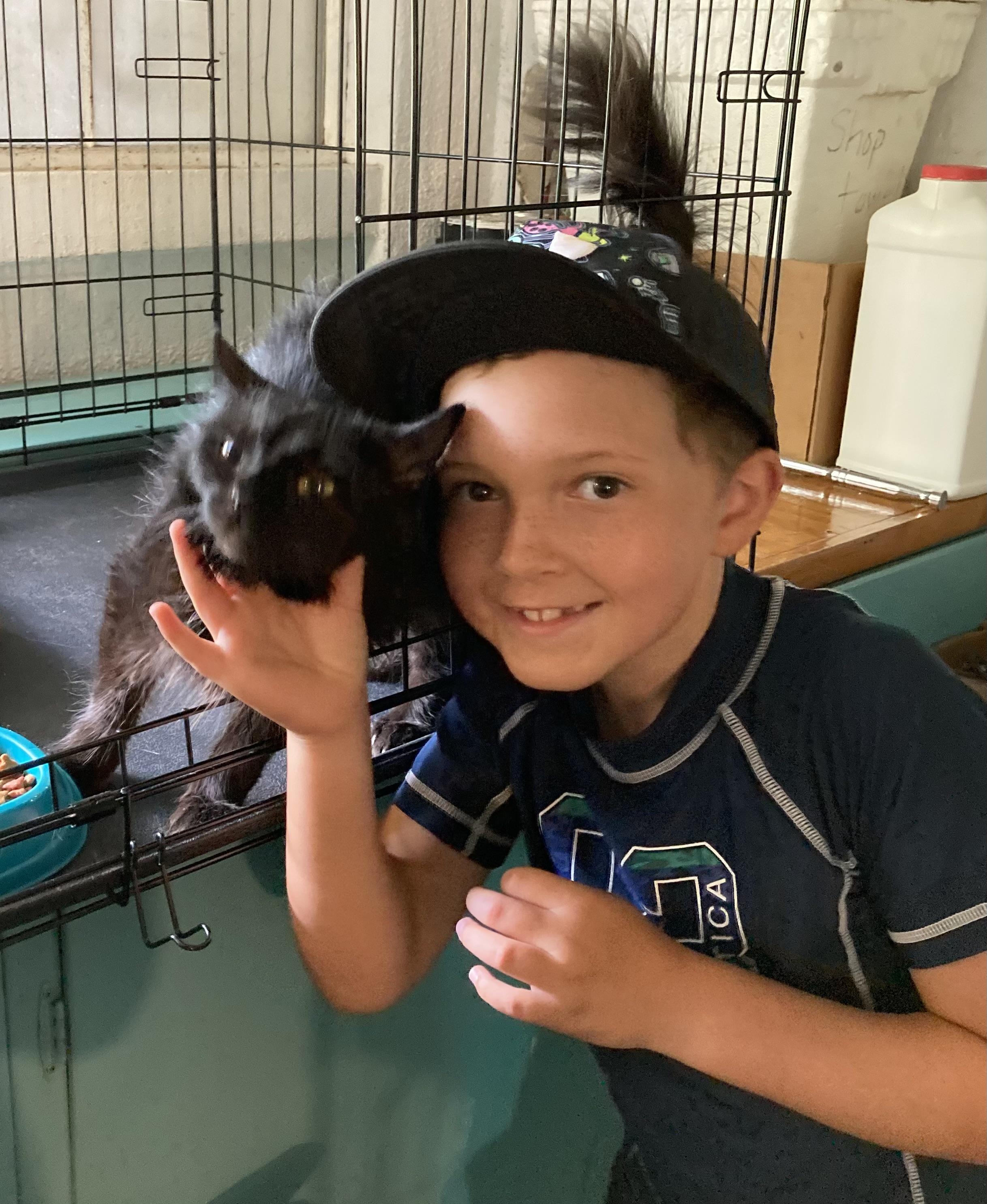 Enlarge Walnut, a Adoptable mixed breed in Morganton, NC image 2/6