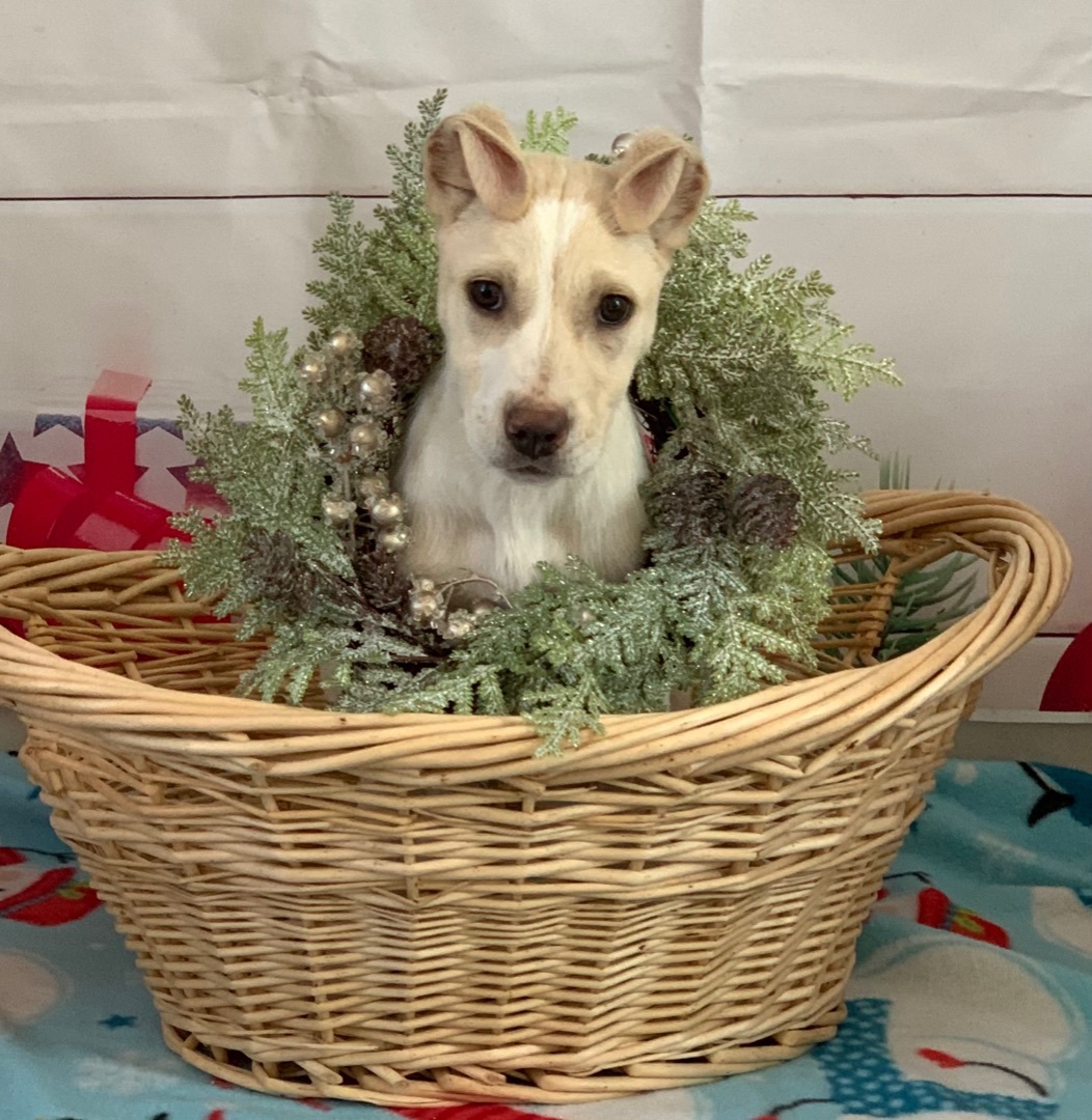 Smoke — thumbnail 2