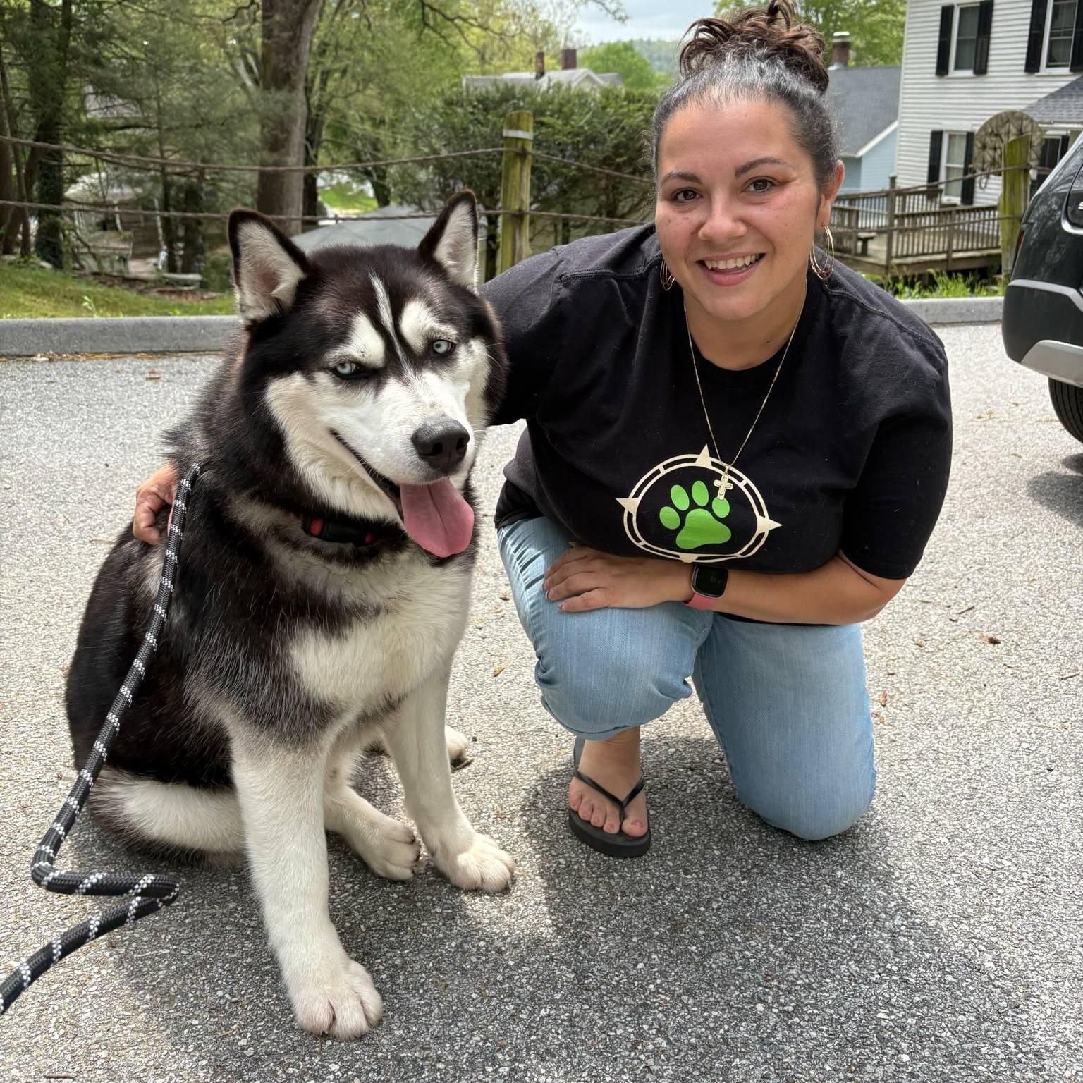 Super Trained Billa, an adoptable Alaskan Malamute, Siberian Husky in Hibbing, MN, 55746 | Photo Image 5