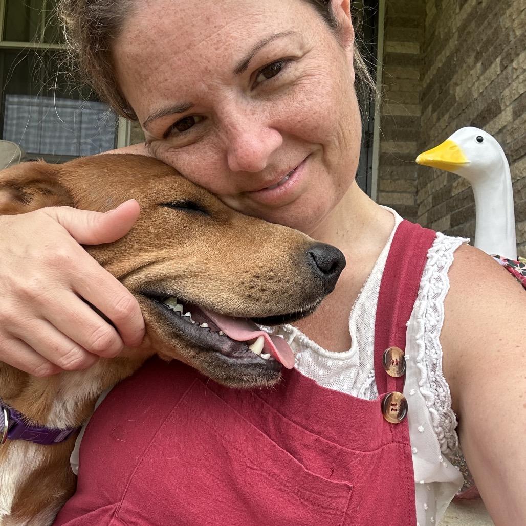 Gypsy, Adoptable, Adult Female Mixed Breed.