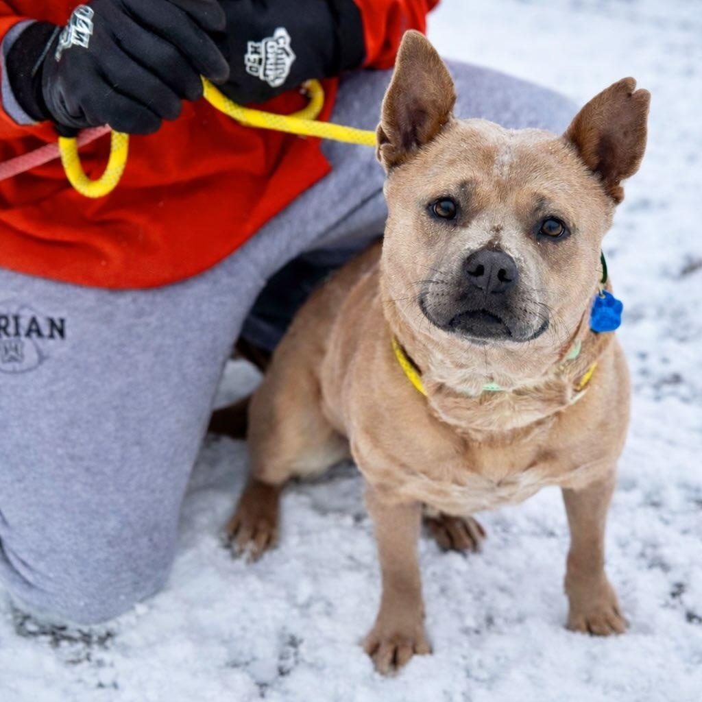 Carebear thumbnail 2