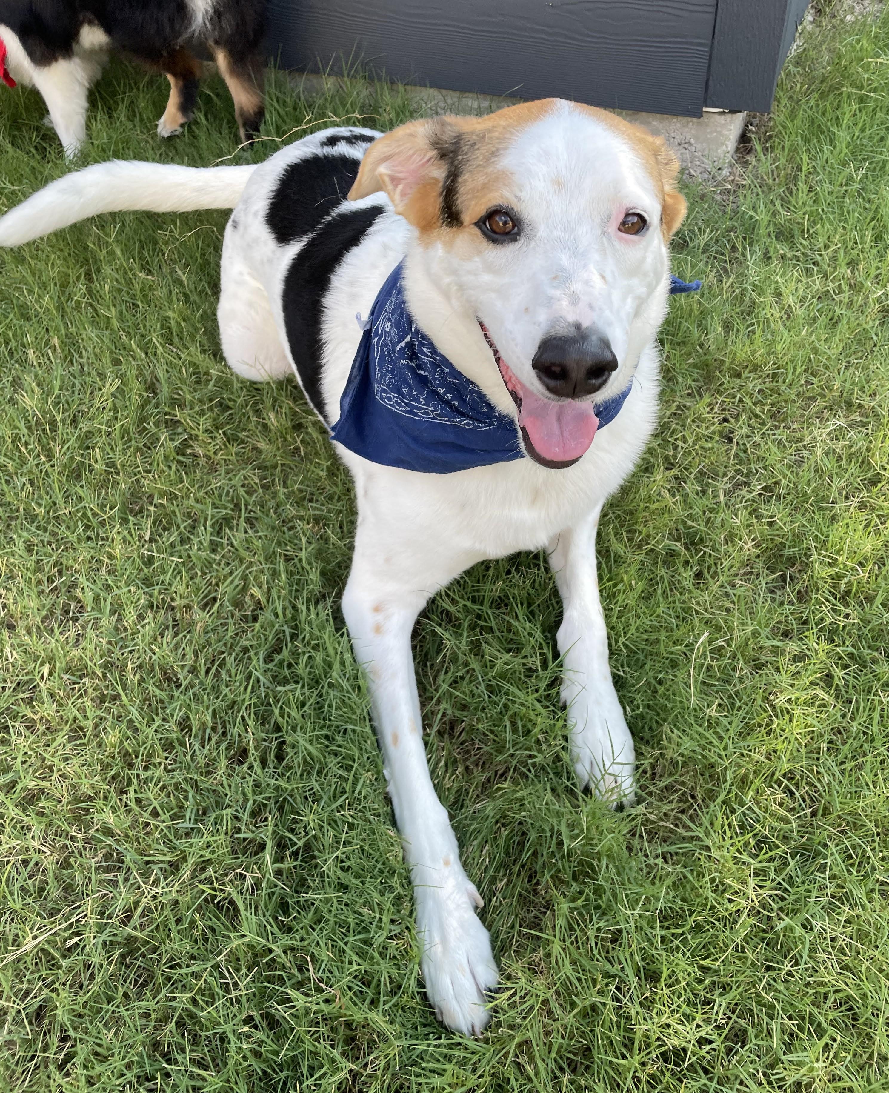 Murphy      ***Courtesy Posting***