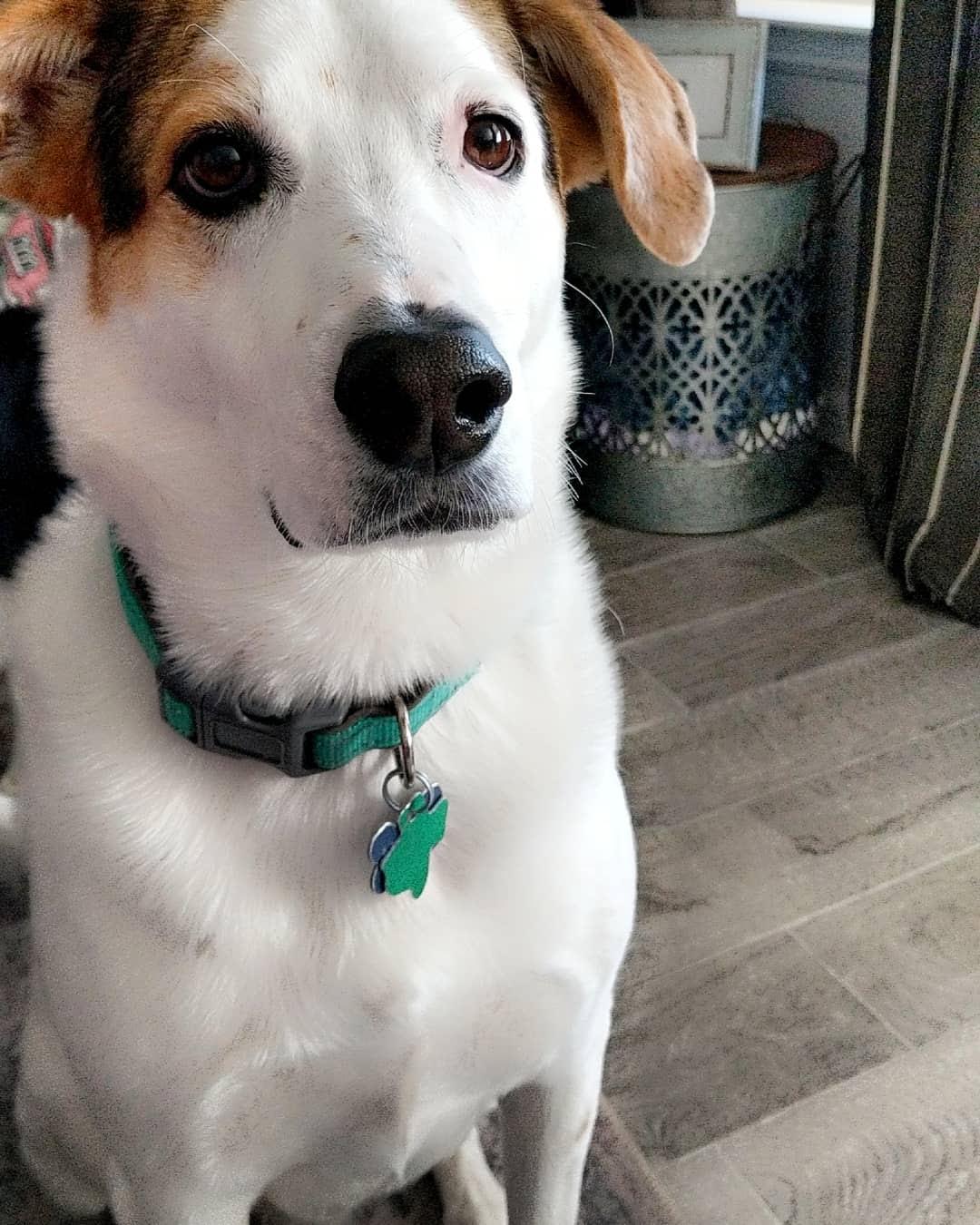 Murphy      ***Courtesy Posting*** 3