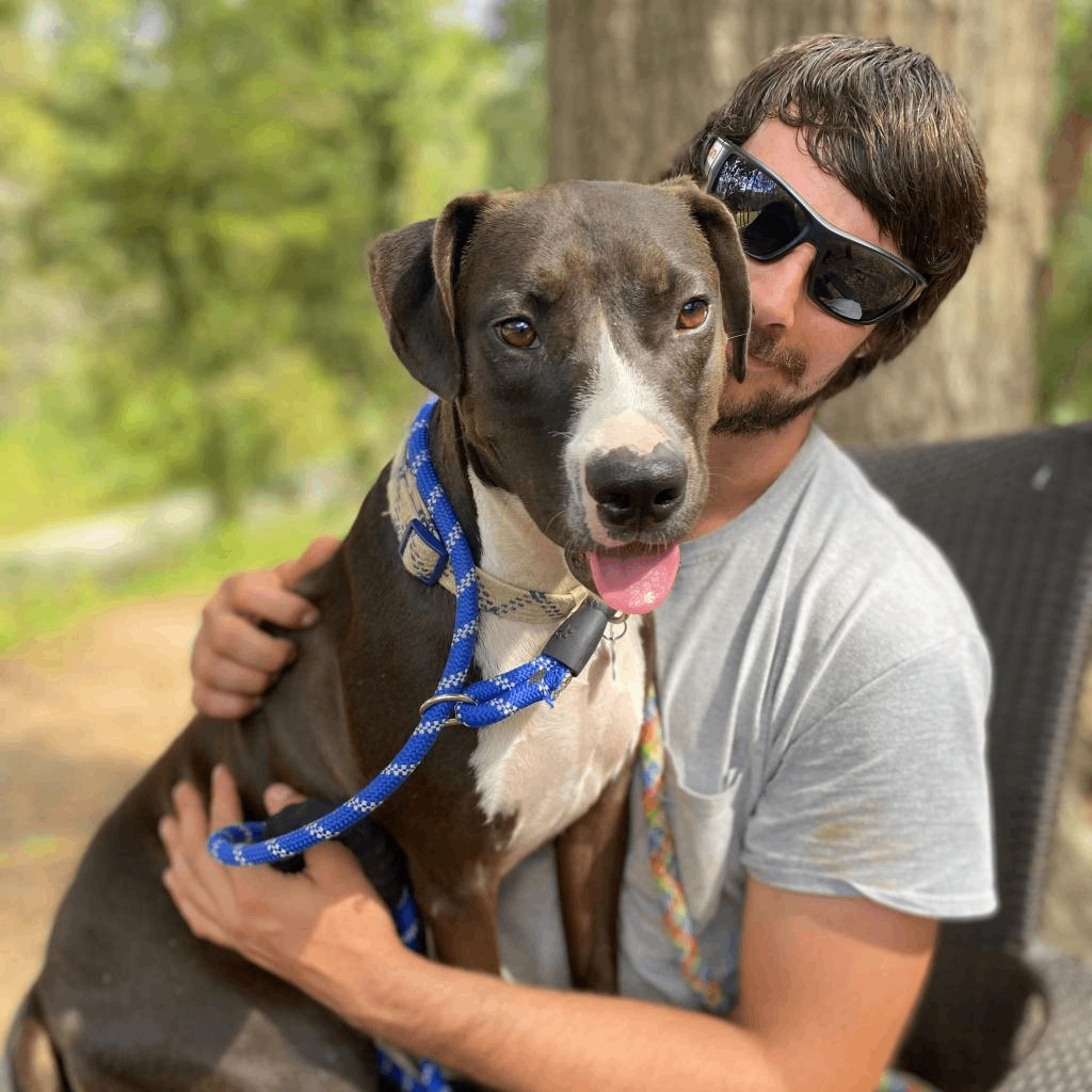 Enlarge Hercules, a Adoptable mixed breed in Helena, AL image 10/11