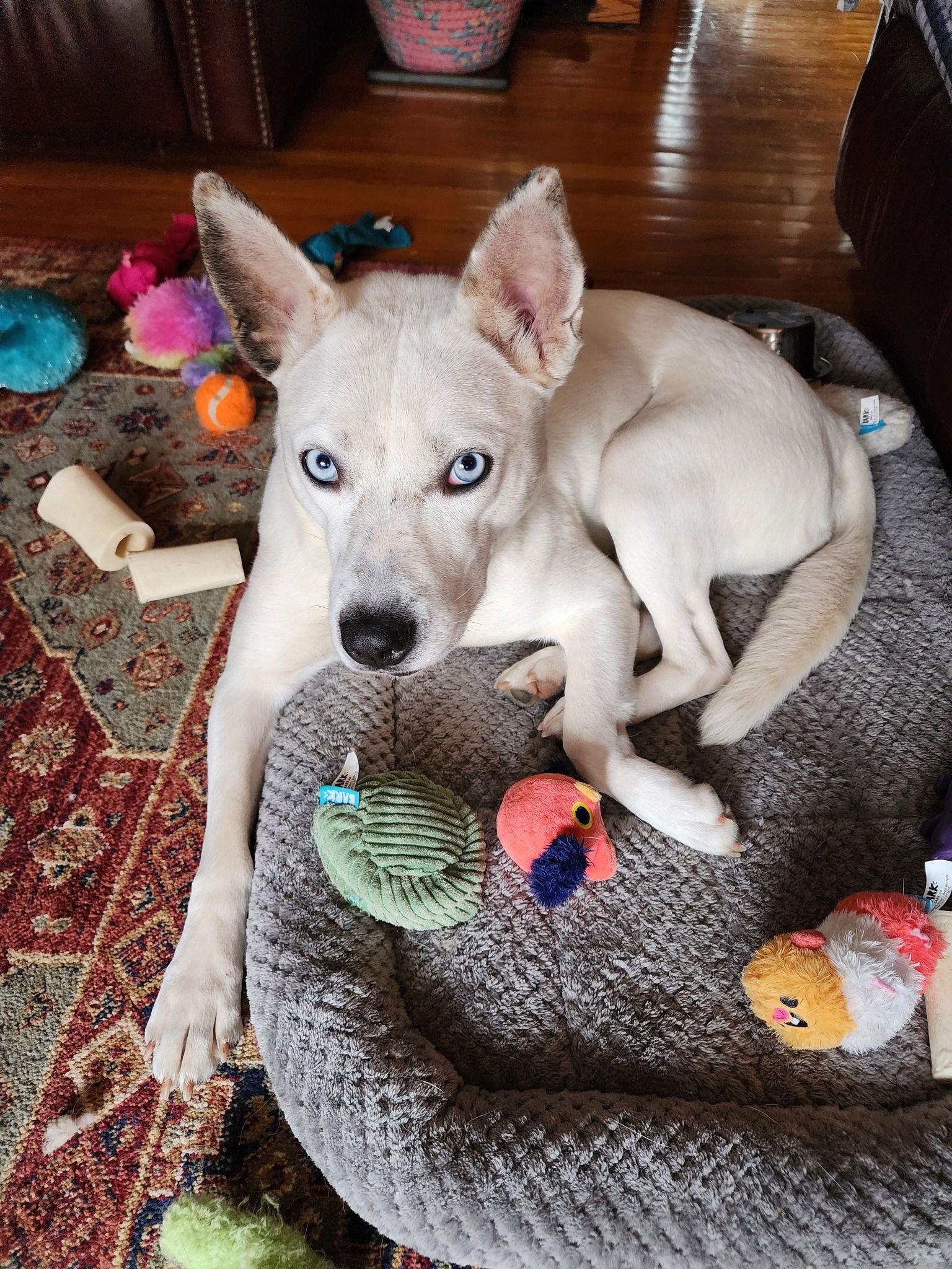 Angel — thumbnail 3