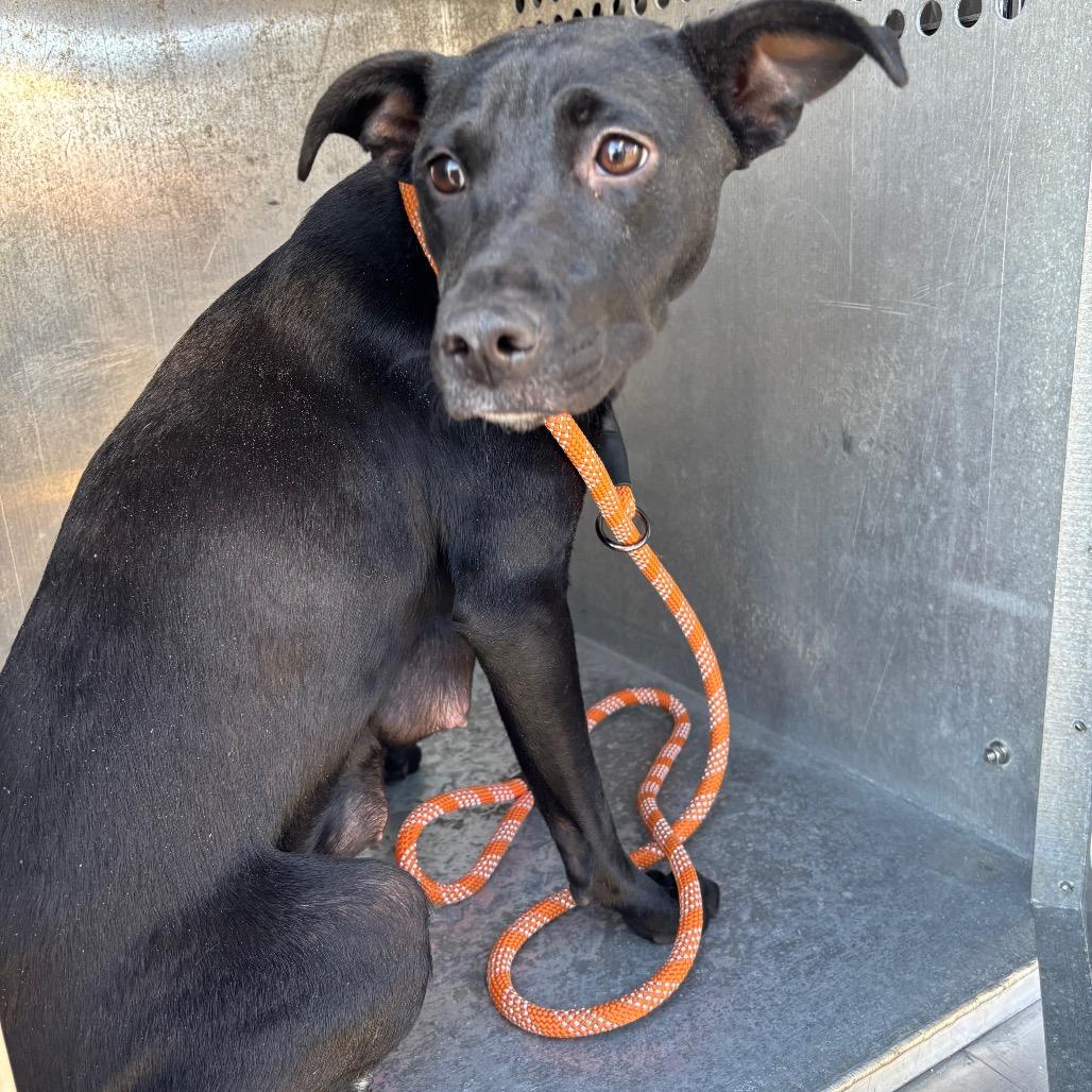 Sigourney Weaver 2546 — thumbnail 2