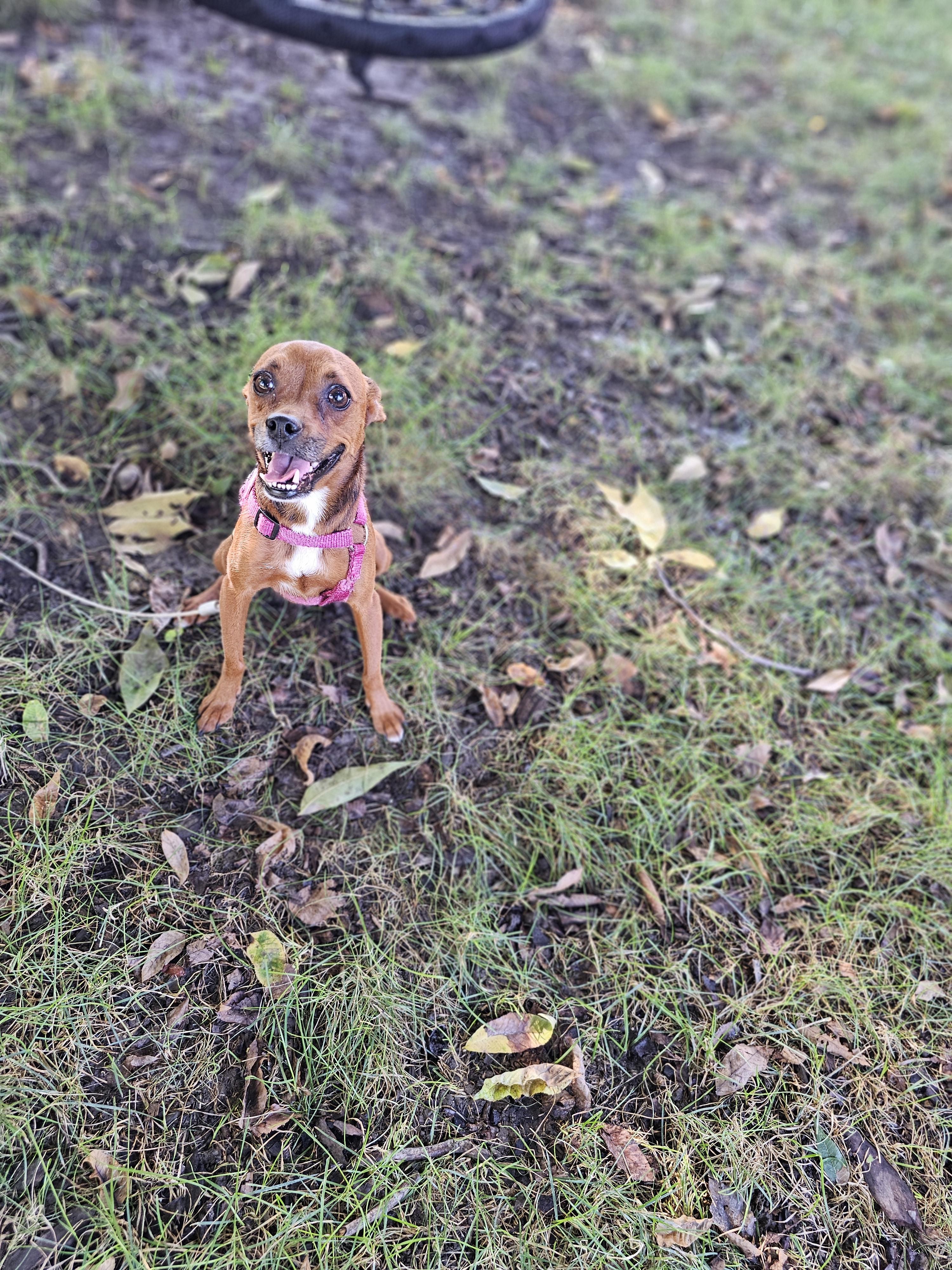 Ashara So Il thumbnail 2