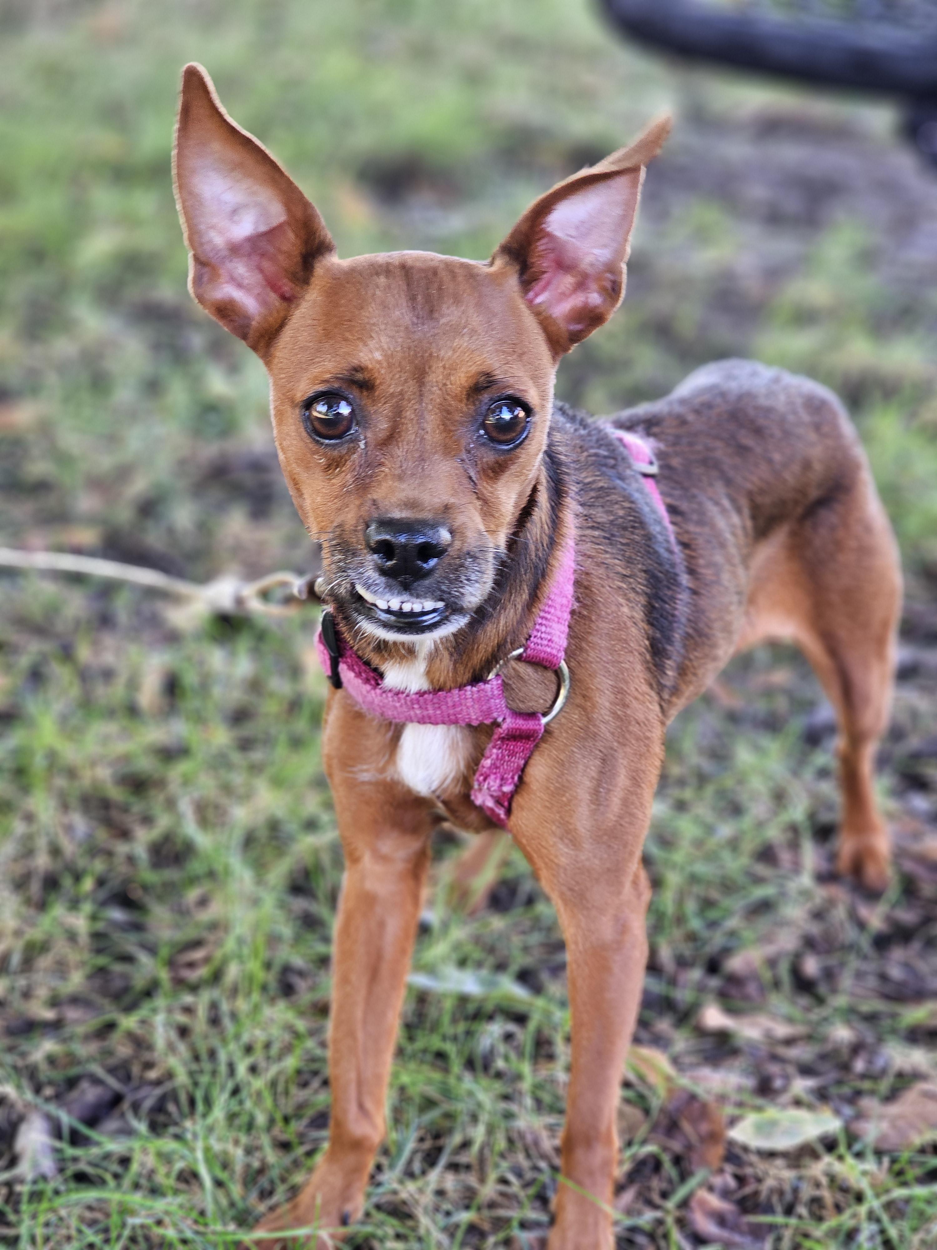 Ashara So Il thumbnail 4