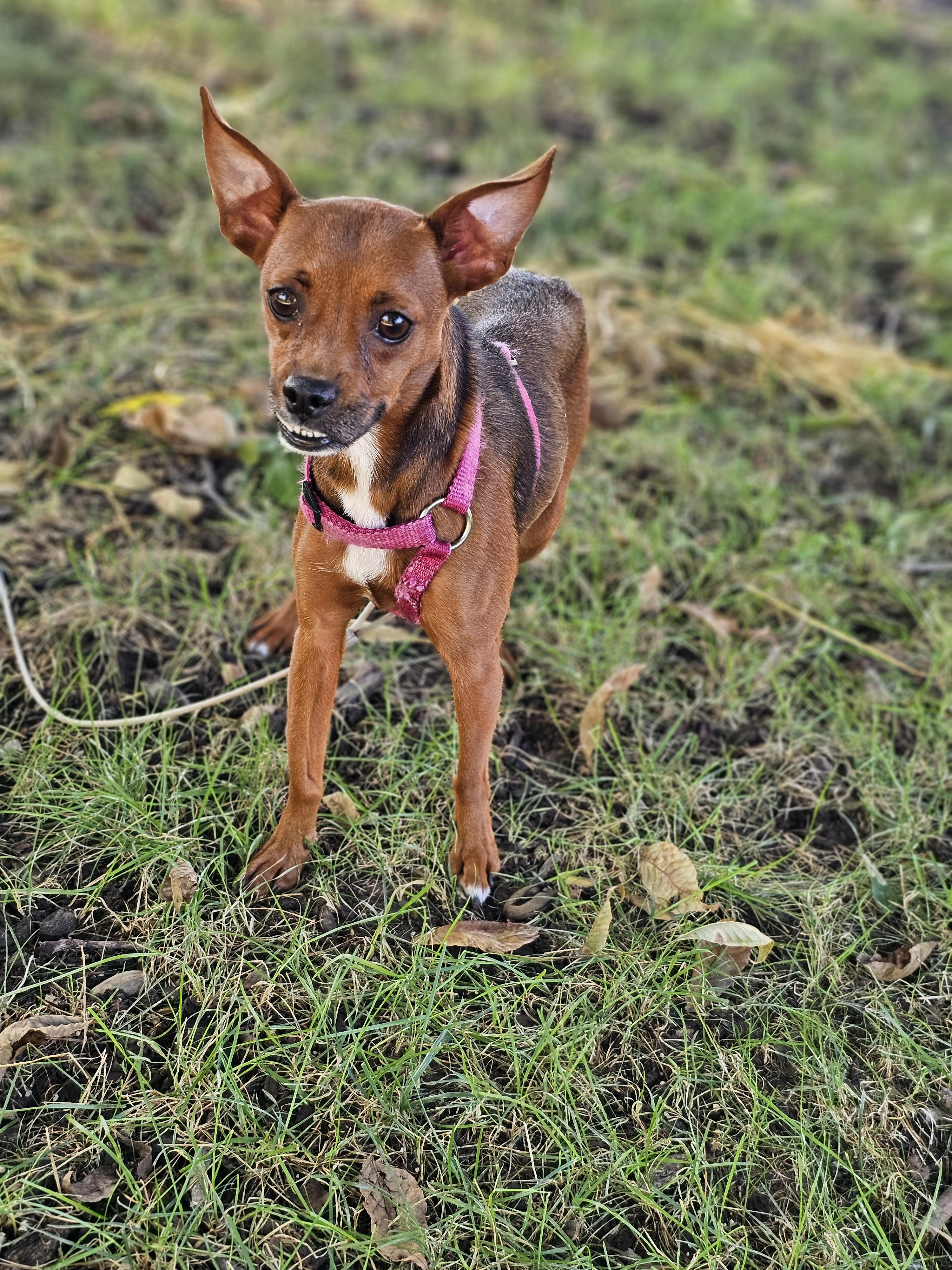 Ashara So Il thumbnail 5