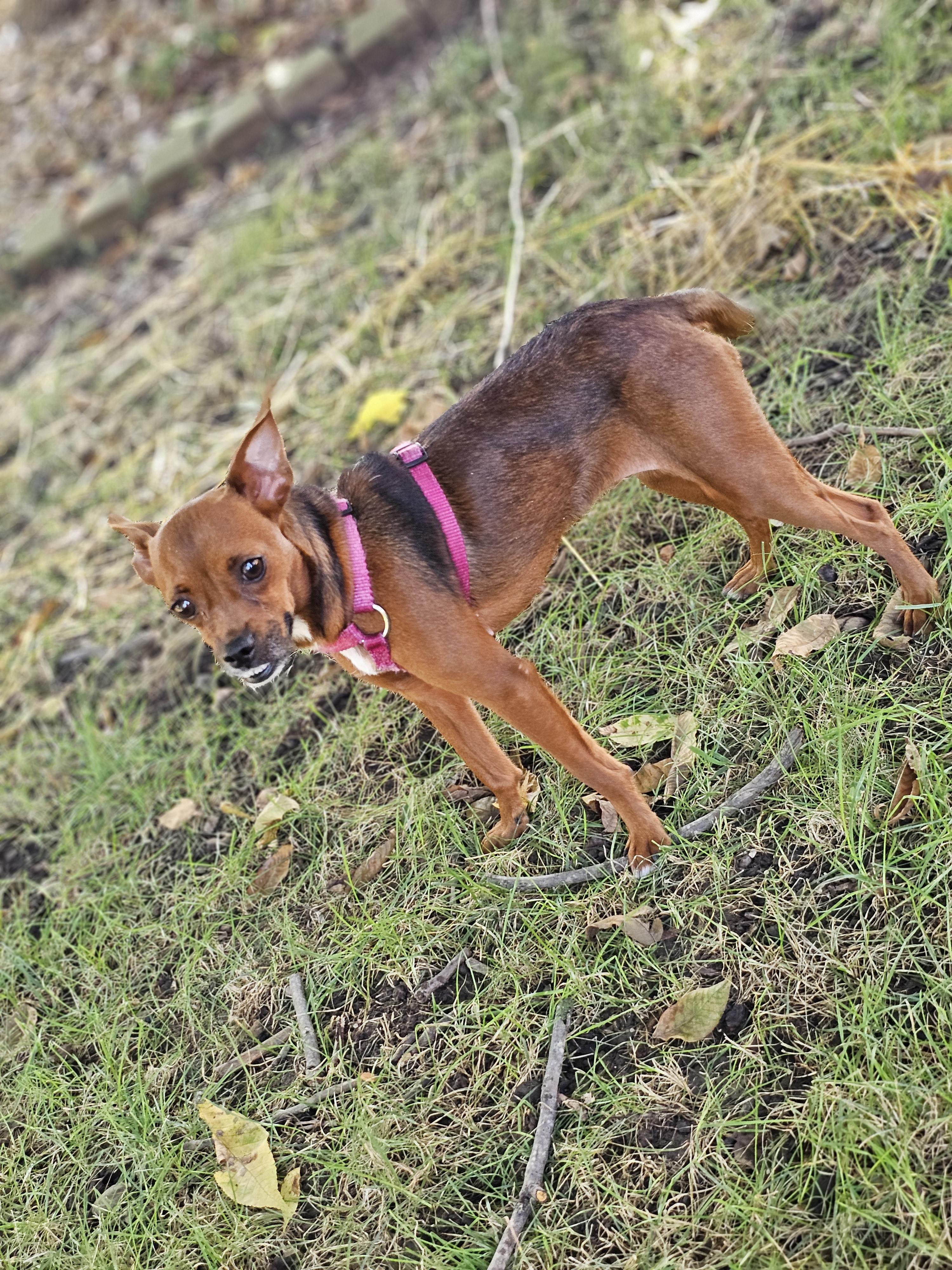 Ashara So Il thumbnail 6